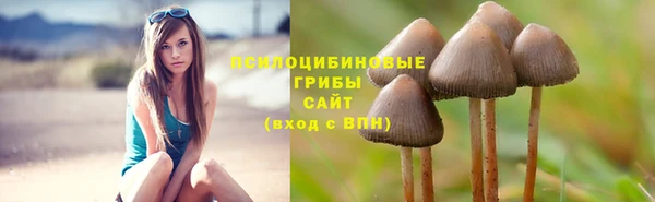 бутират Балабаново