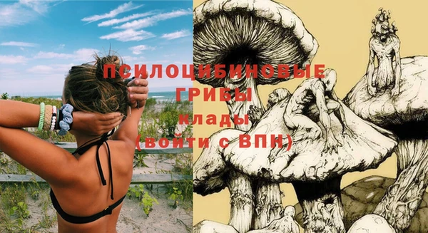 гидропоника Аркадак