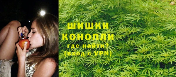 дурь Арсеньев