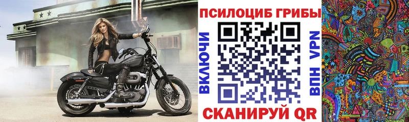 ссылка на мегу   Соль-Илецк  Псилоцибиновые грибы прущие грибы 